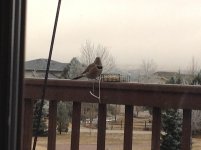 IMG_0045.JPG
