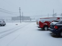 winter.jpg