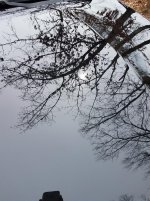 resize 4.jpg
