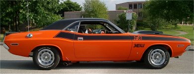 orangeTA01.jpg