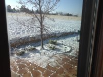 IMG_0152.jpg