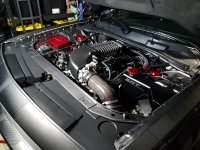 20180530_200623.jpg