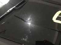 IMG_1067.jpeg
