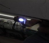9559.JPG