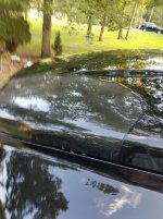 20180806_182550 (2.jpg