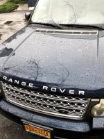IMG_0281.jpg