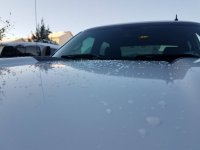 20181014_180555.jpeg