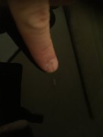 IMG_6703.jpg