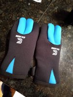 IMG_20181128_170820210.JPG