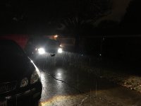 IMG_2785a.jpg