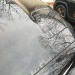 20190120_092343.jpg