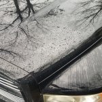 20190120_092327.jpg