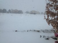 IMG_0318.jpg