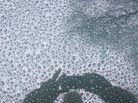 rain.1.jpg