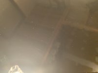 IMG_0247.jpg