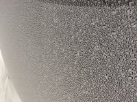 IMG_20190502_063726 (600x800).jpg