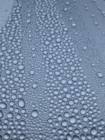 1DF52D54-CBB4-4A78-9998-BA3D241B5A9B.jpeg
