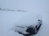 IMG_0386.jpg