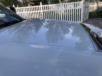 IMG_0767.jpg