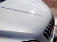 IMG_0392.jpg