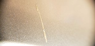 20181202_121733.jpg