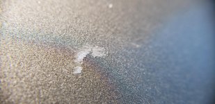 20181202_121901.jpg