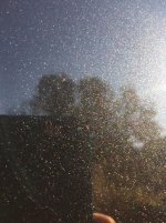 IMG_4594.jpg