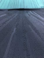 IMG_4723.JPG