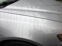 IMG_4740.JPG