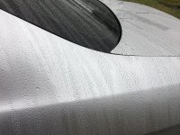 IMG_4743.JPG