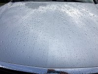 IMG_4759.JPG