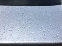 IMG_4764.JPG