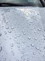 IMG_4770.JPG