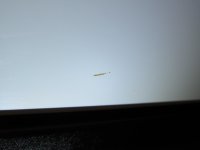IMG_4789.JPG