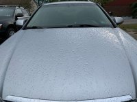 IMG_0052.JPG