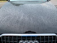 IMG_0054.JPG