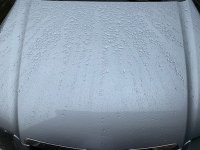 IMG_0632.JPG