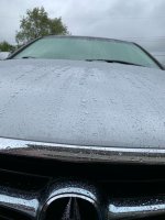 IMG_0633.JPG