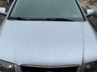 IMG_0819.JPG