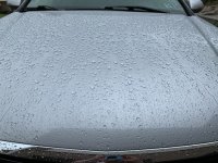 IMG_0820.JPG