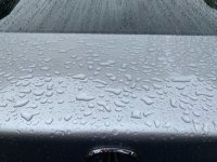 IMG_0822.JPG