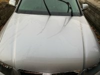 IMG_0972.JPG