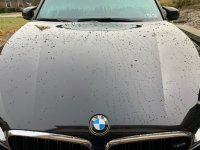 IMG_1058.JPG