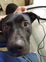 Bruce-1.jpg