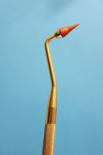 gum-stimulator-2jpg.jpg