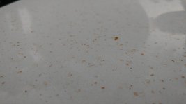 20200809_194218.jpg