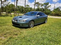 GTO Grass resize.jpg