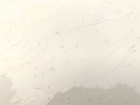 IronX (1).jpeg