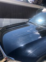 IMG_20200921_184927.jpg