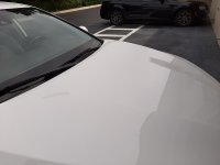 20201002_141727.jpg